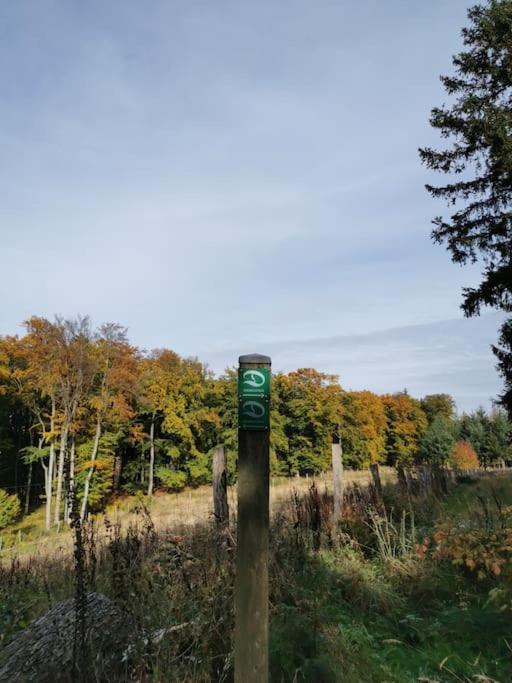 Fewo Albrecht Direkt Am Diemelsteig Diemelsee Zewnętrze zdjęcie